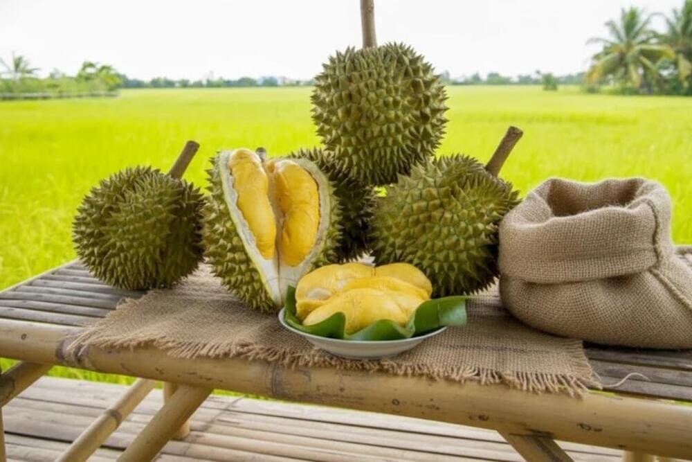 Sầu ri&ecirc;ng bạn c&oacute; thể mua sầu ri&ecirc;ng tươi hoặc đ&atilde; được sấy kh&ocirc; đều tiện lợi